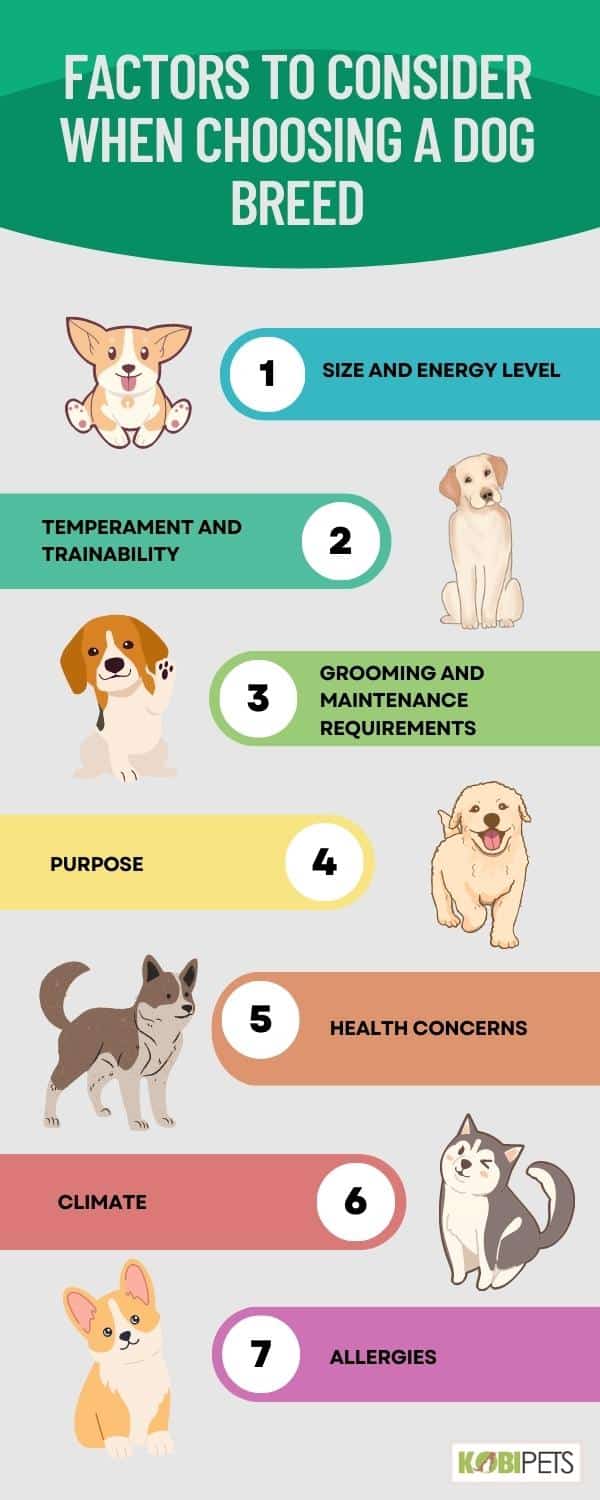 Factors to Consider When Choosing a Dog Breed