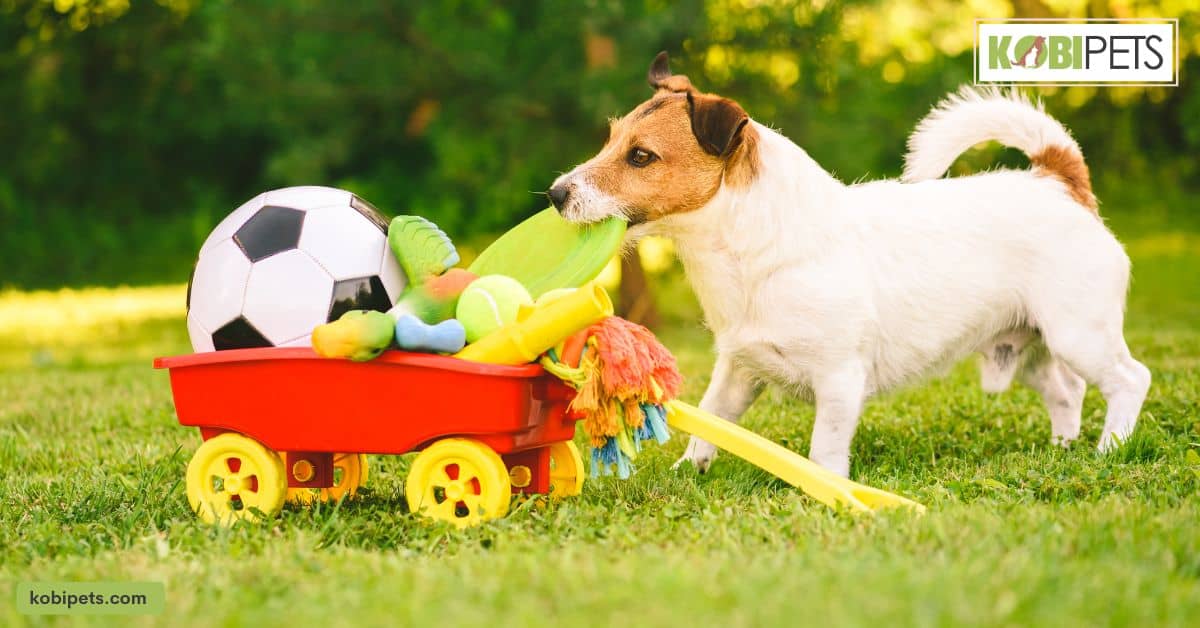 Tips for Selecting the Right Toy for Your Dog