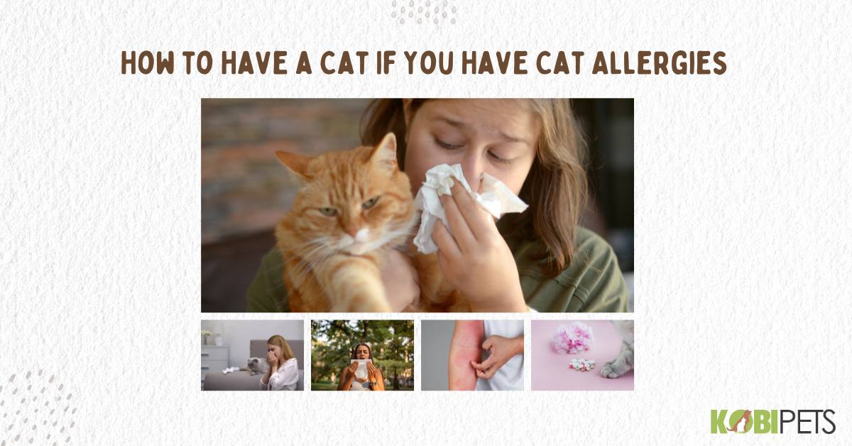 How to Have a Cat If You Have Cat Allergies