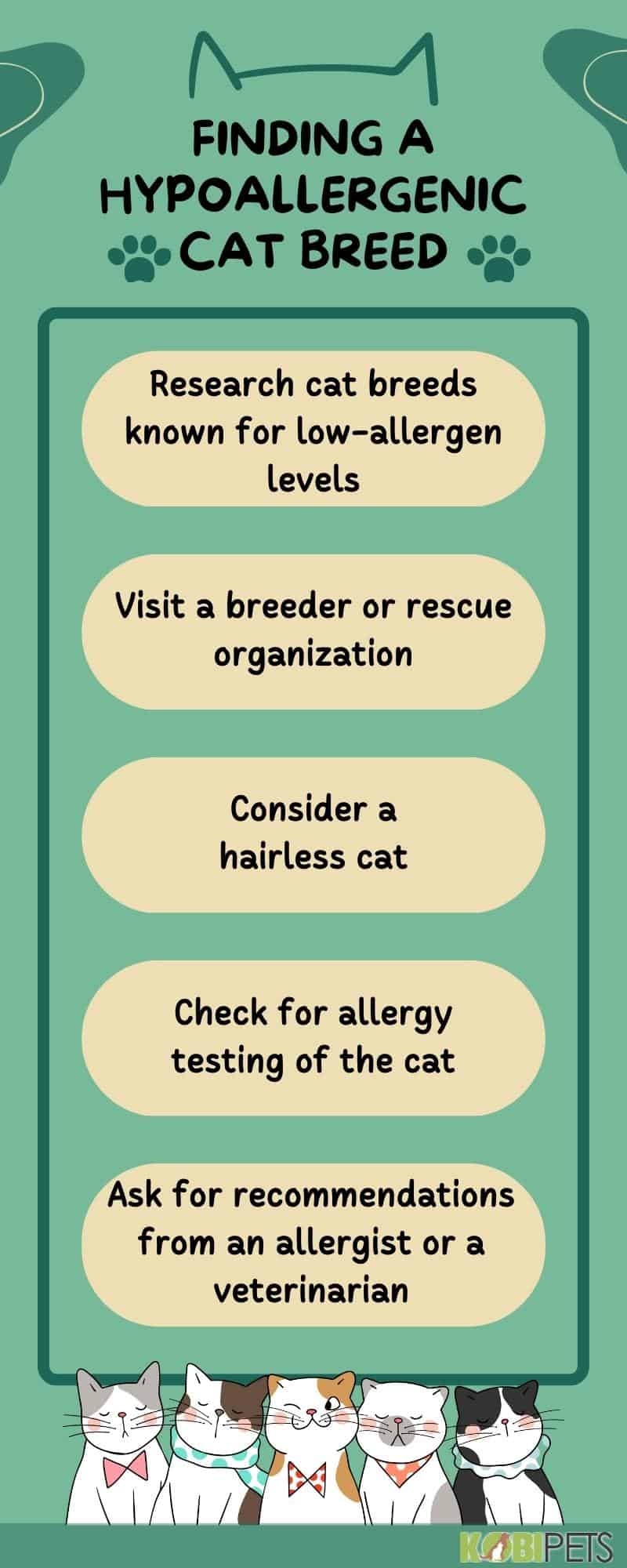 Finding a Hypoallergenic Cat Breed