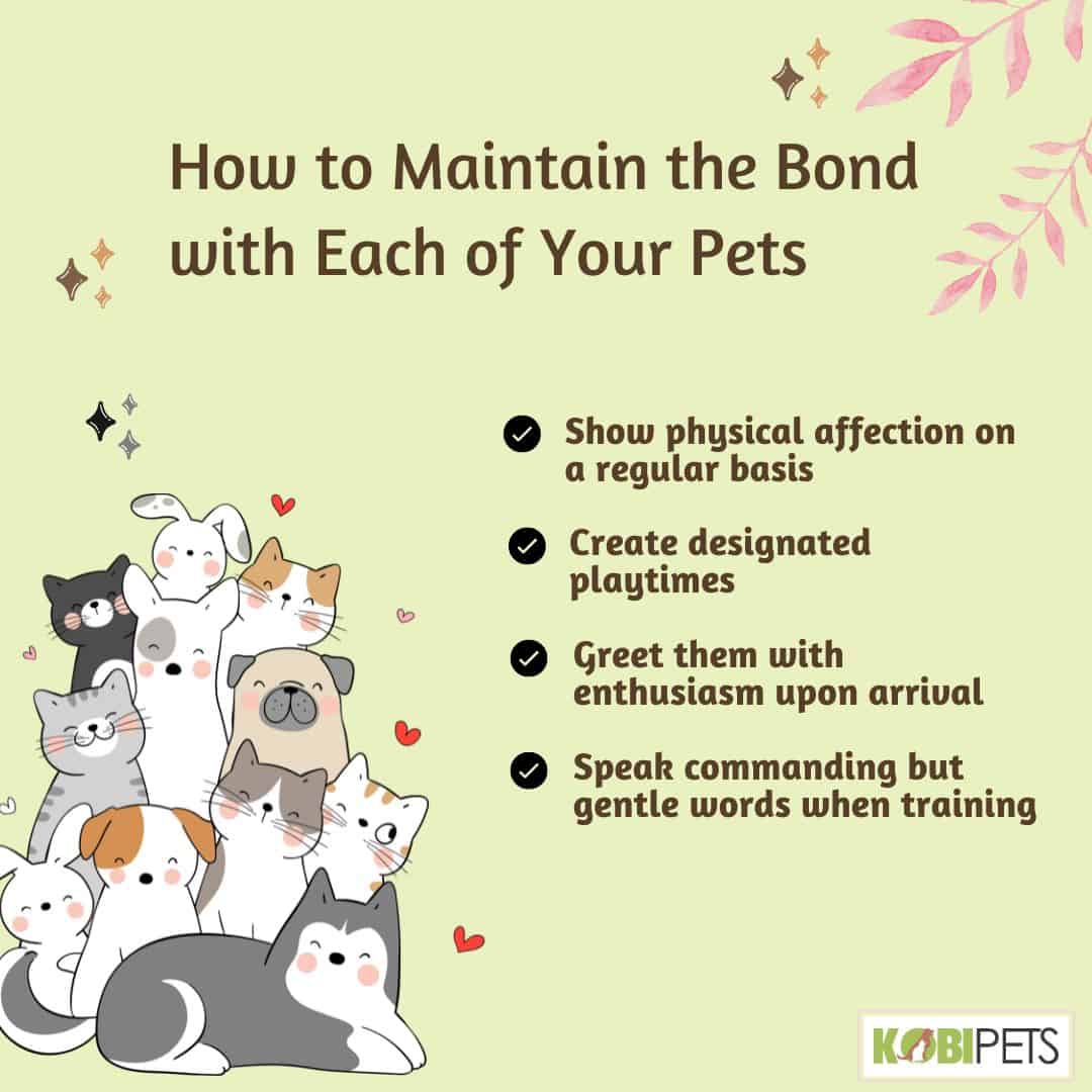 How to Maintain the Bond with Each of Your Pets