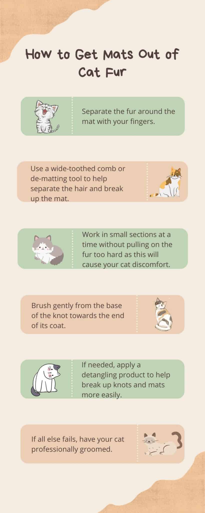 How to Painlessly Get Mats Out of Cat Fur Kobi Pets