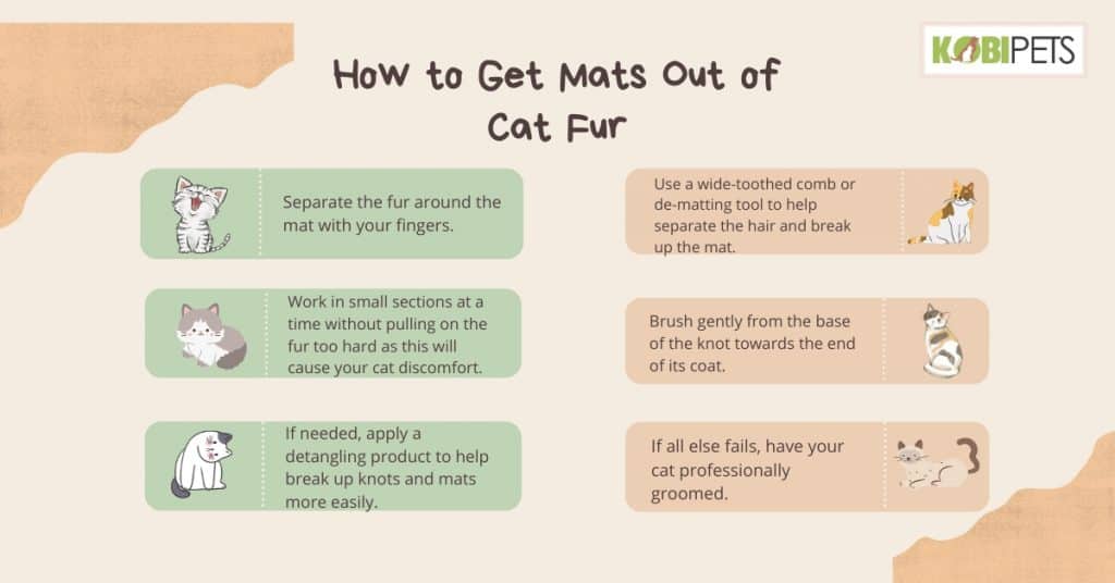 How to Painlessly Get Mats Out of Cat Fur Kobi Pets