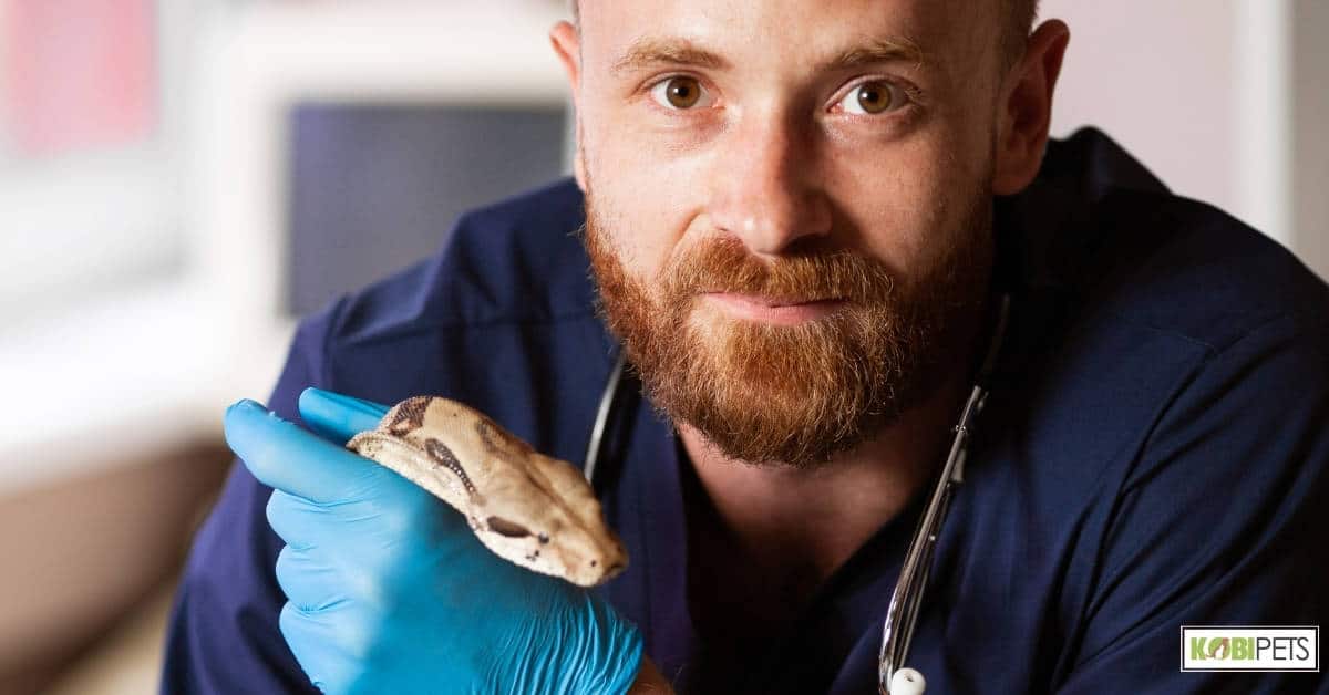 Importance of Finding a Veterinarian Experienced With Exotic Pets