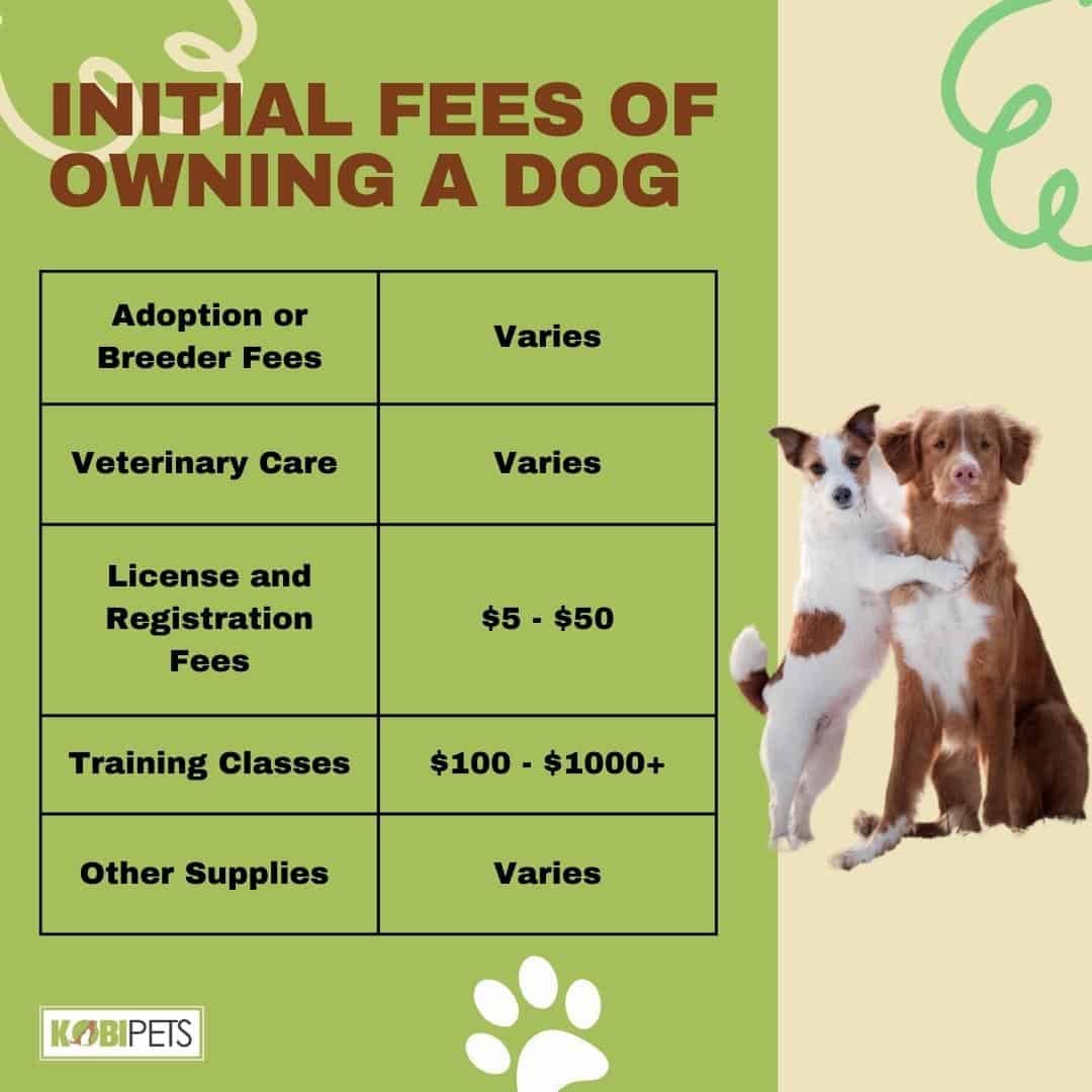 Initial Fees