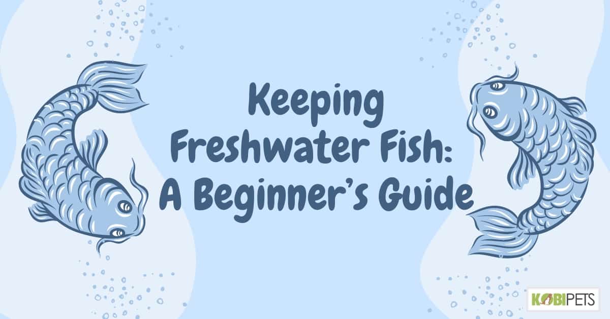 Keeping Freshwater Fish_ A Beginner’s Guide