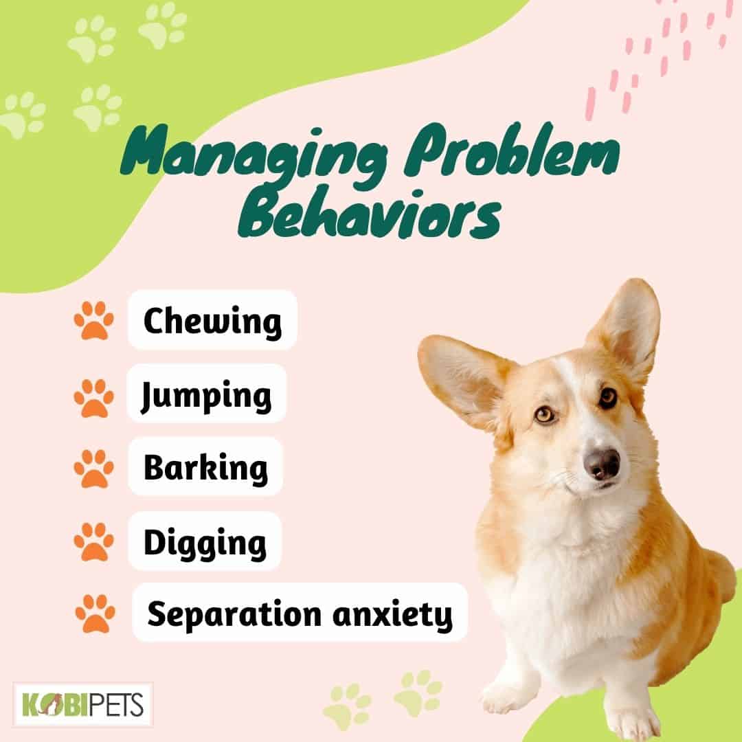 Managing Problem Behaviors