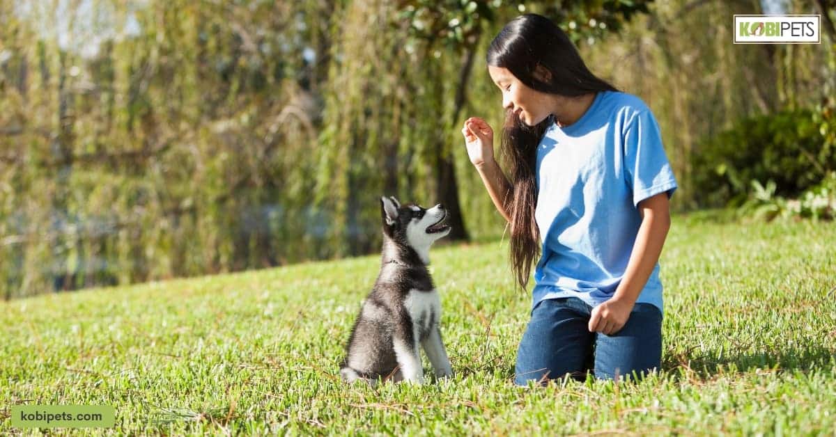 Obedience training