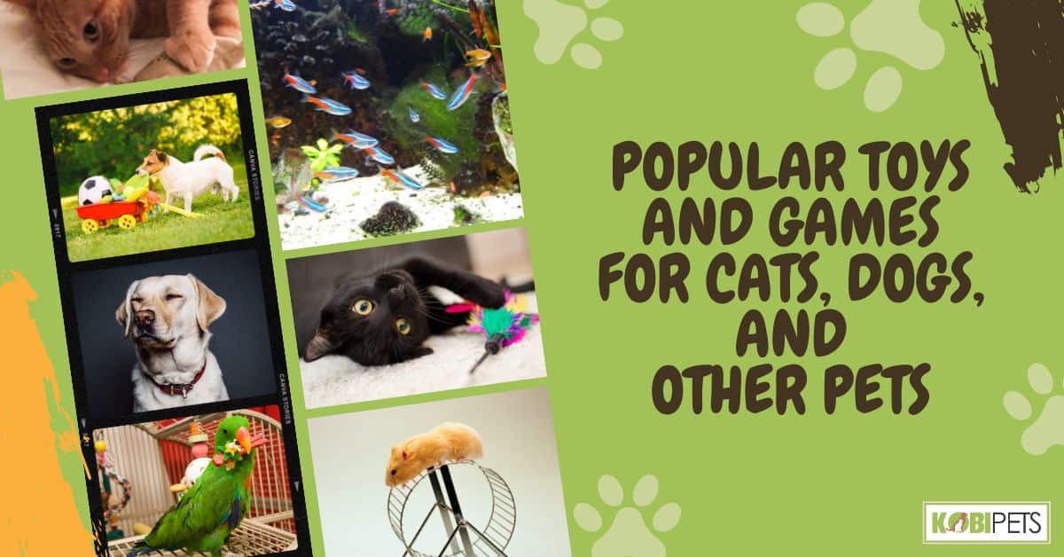 Popular Toys and Games For Cats, Dogs, and Other Pets