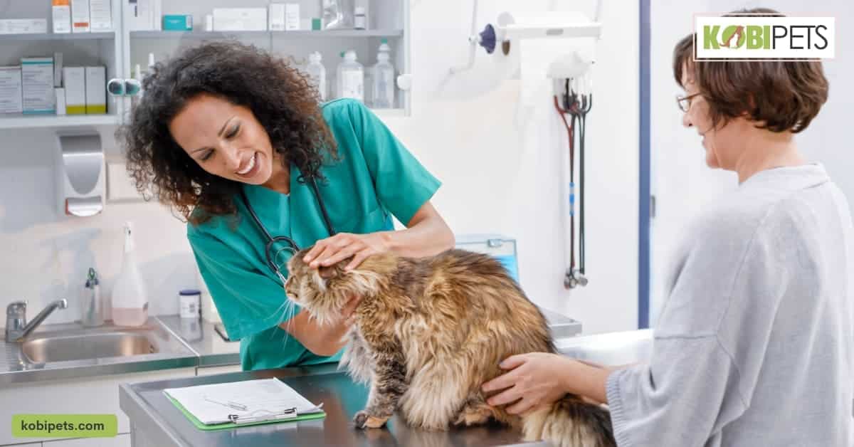 Provide Regular Veterinary Care & Attention