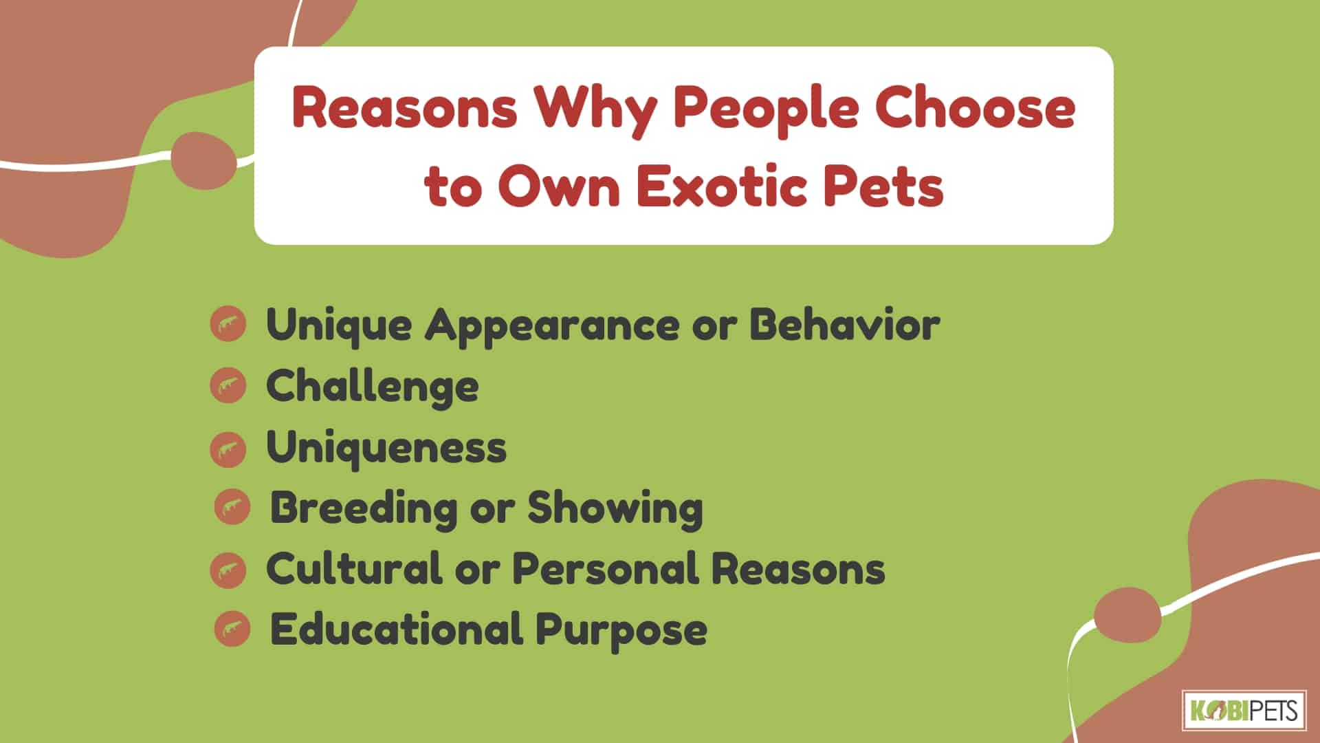 Reasons Why People Choose to Own Exotic Pets
