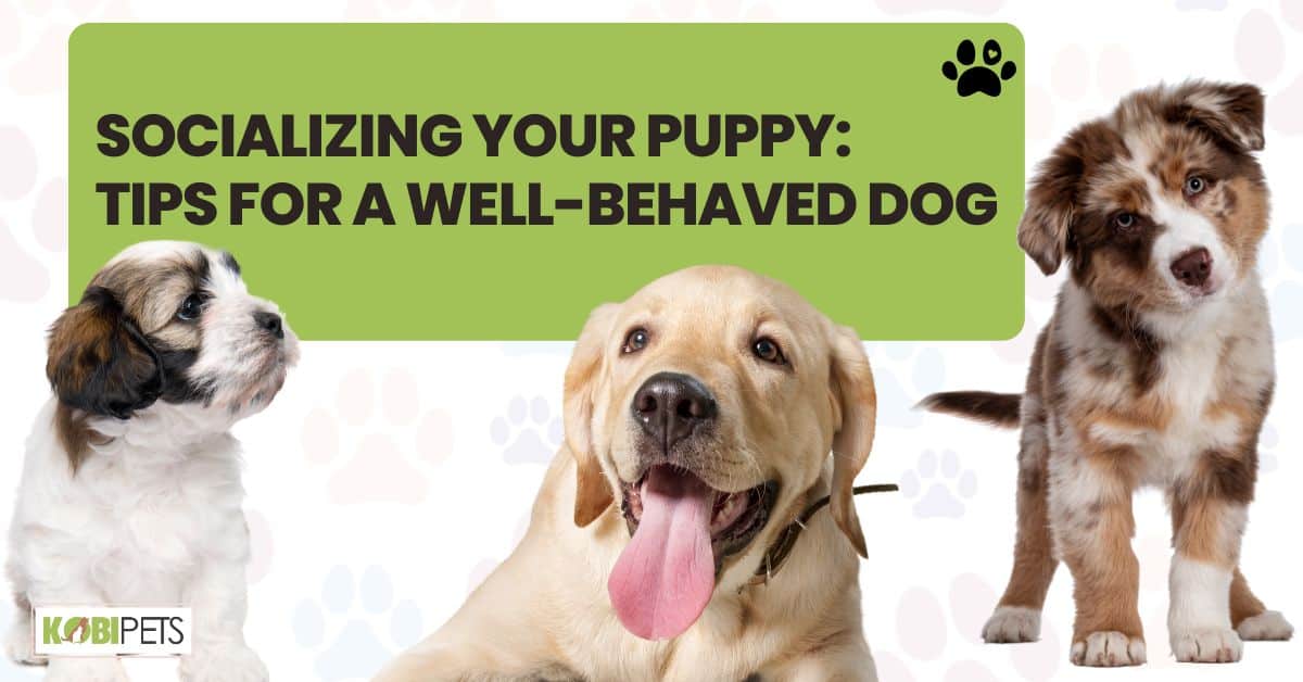 Socializing Your Puppy: Tips for a Well-Behaved Dog
