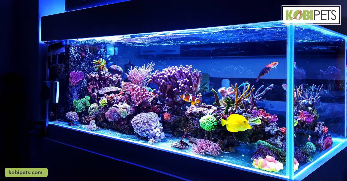 Start with a small number of fish and gradually add more as the aquarium becomes established.