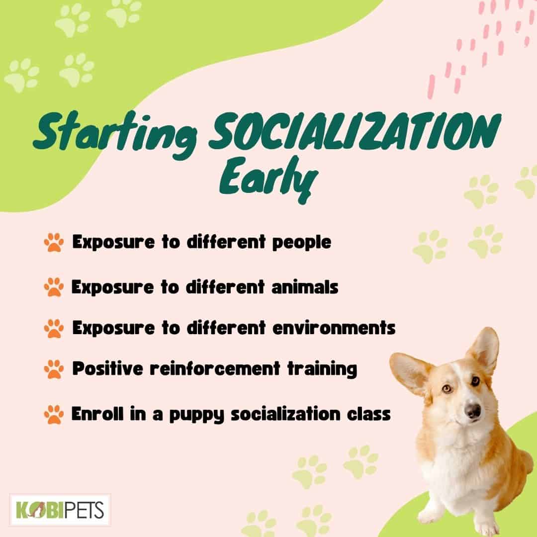 Starting Socialization Early