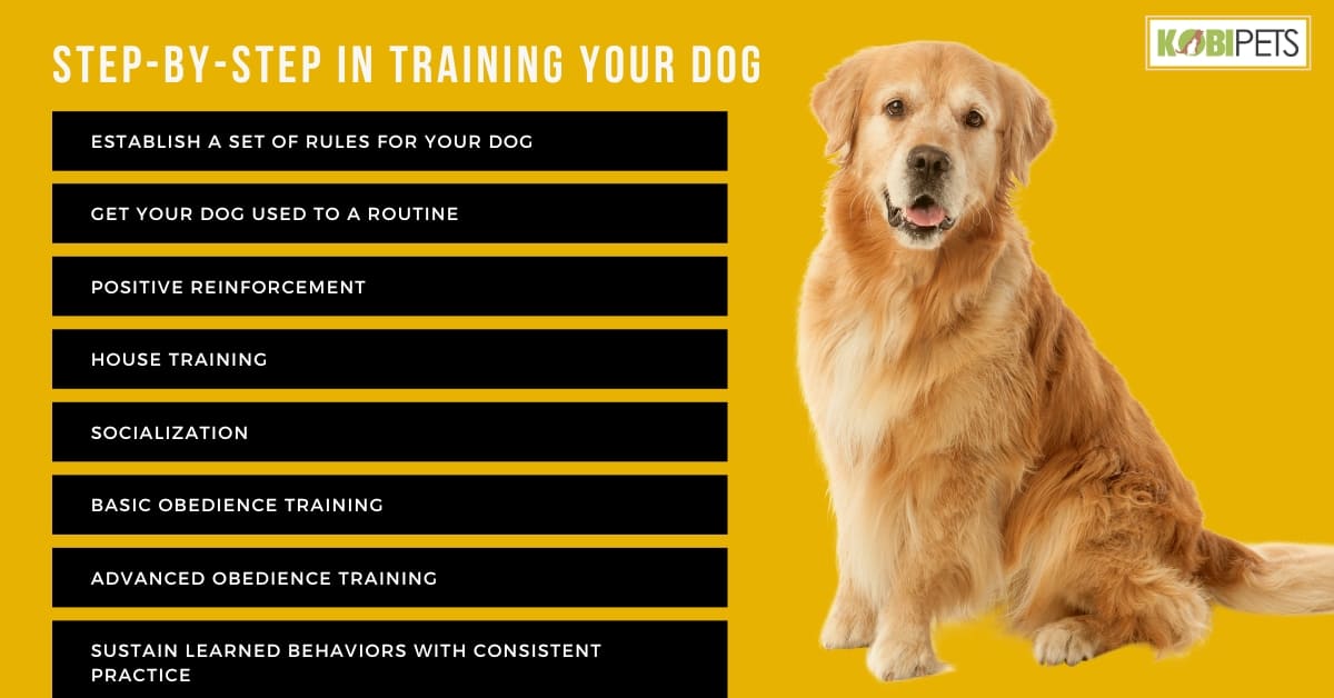 Step-by-Step In Training Your Dog