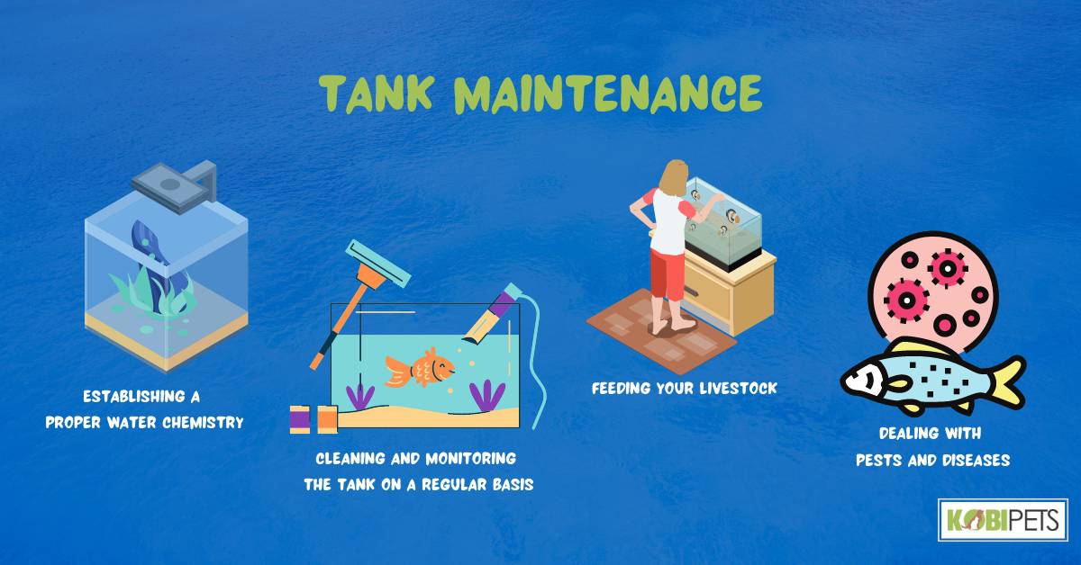 Tank Maintenance