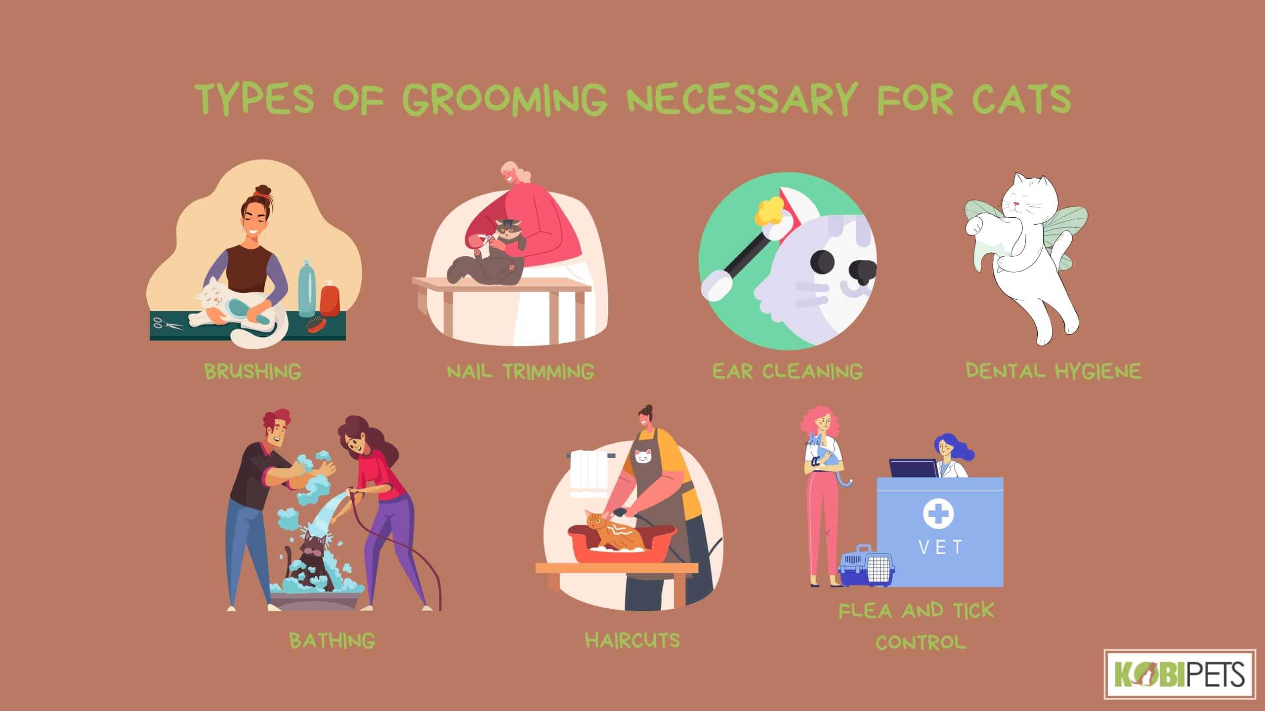 Types of Grooming Necessary for Cats