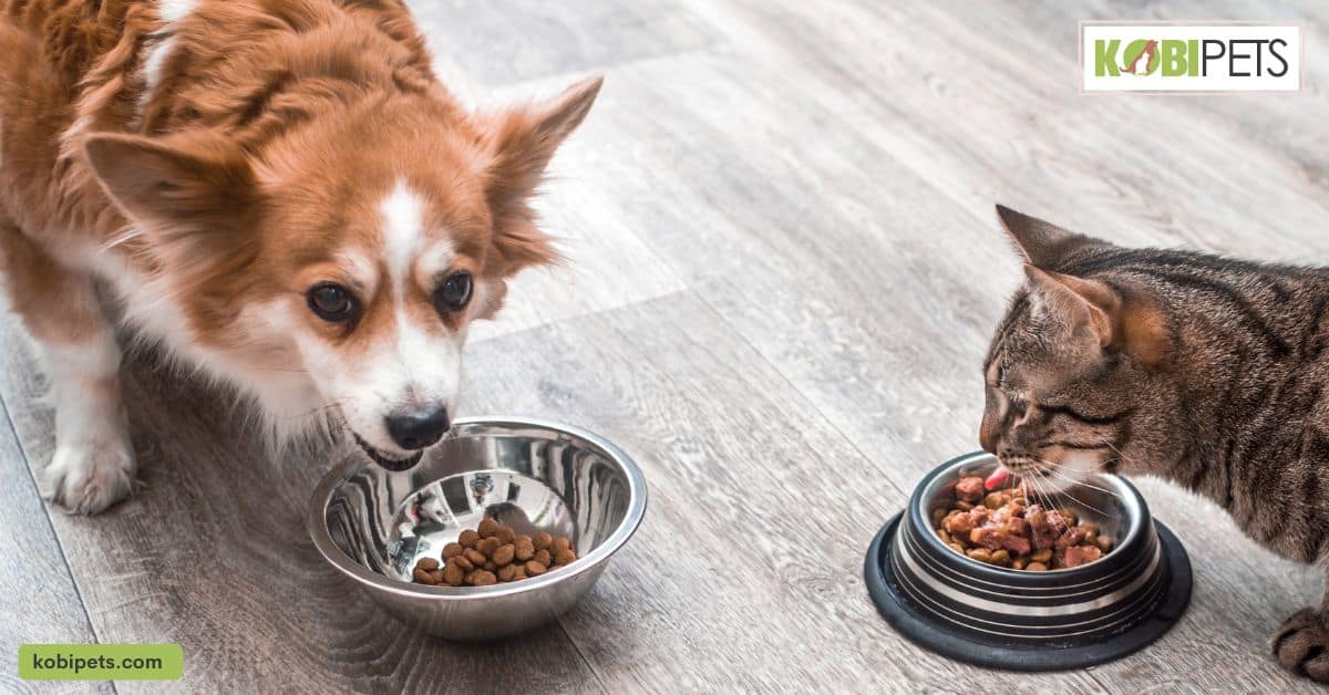 Understanding Your Pet's Nutritional Needs
