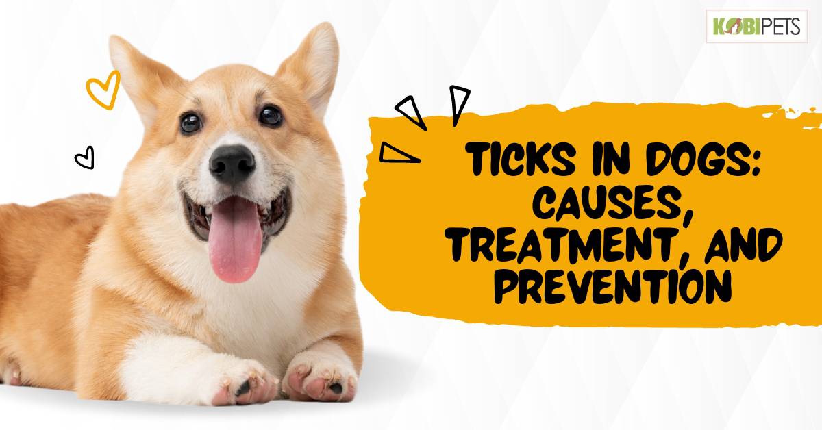 Ticks in Dogs: Causes, Treatment, and Prevention