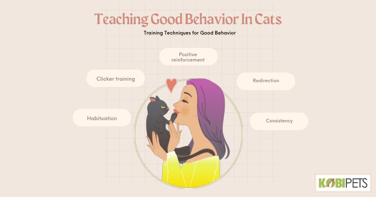 Training Techniques for Good Behavior In Cats
