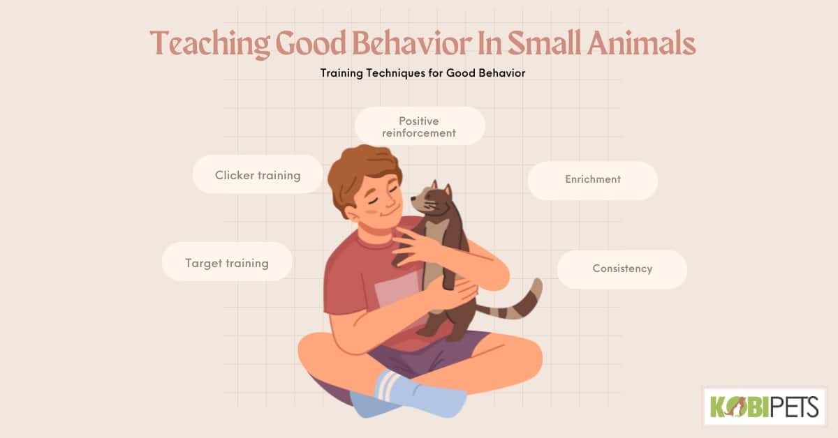 Teaching Good Behavior In Small Animals