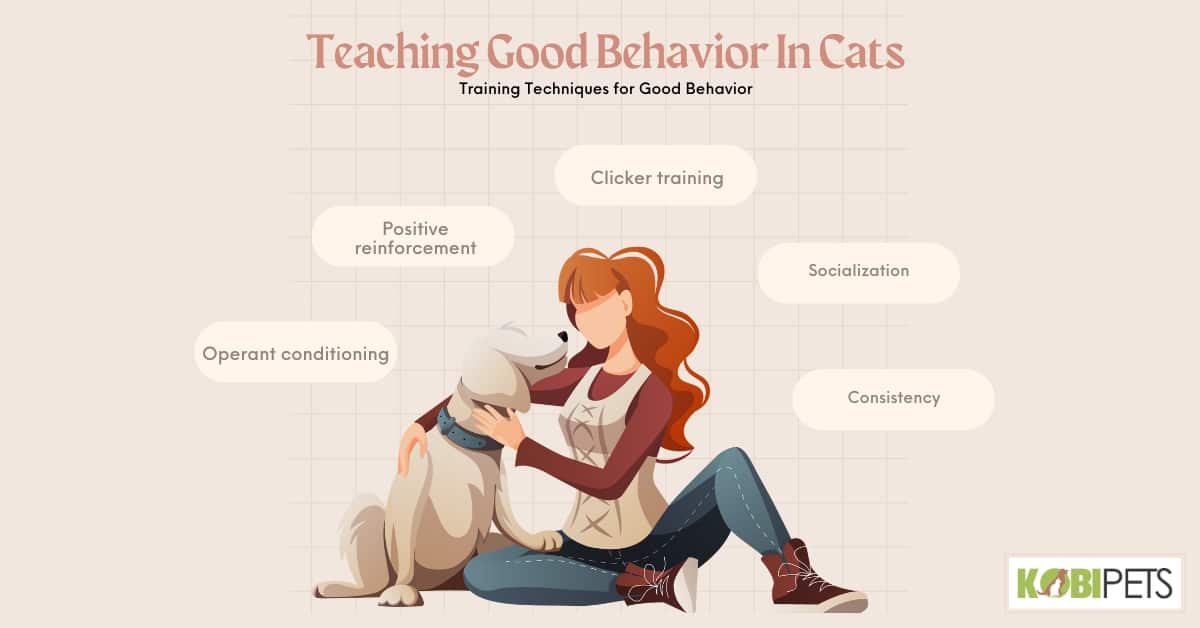 Training Techniques for Good Behavior