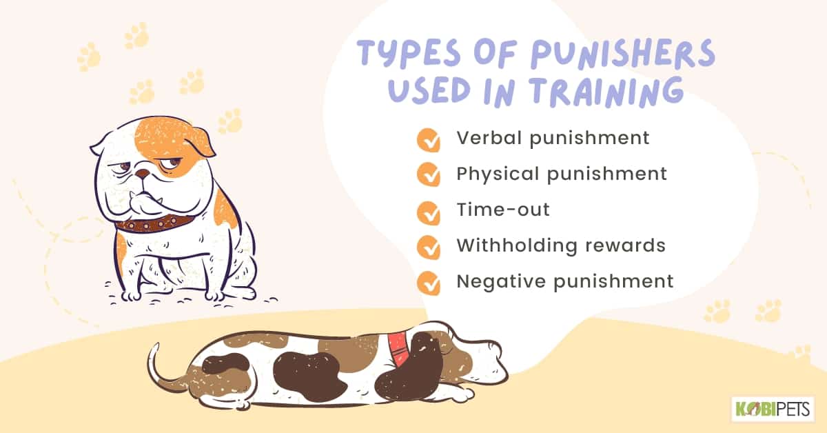 Types of Punishers Used in Training