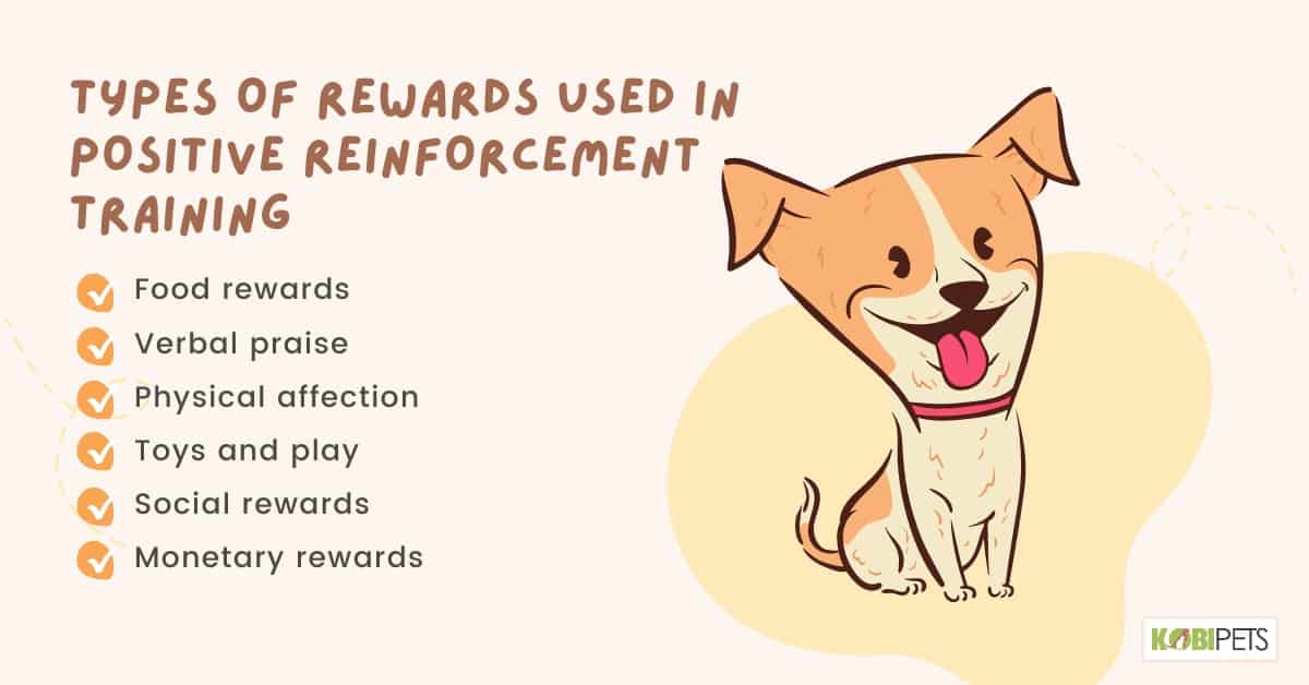 Types of Rewards Used in Positive Reinforcement Training