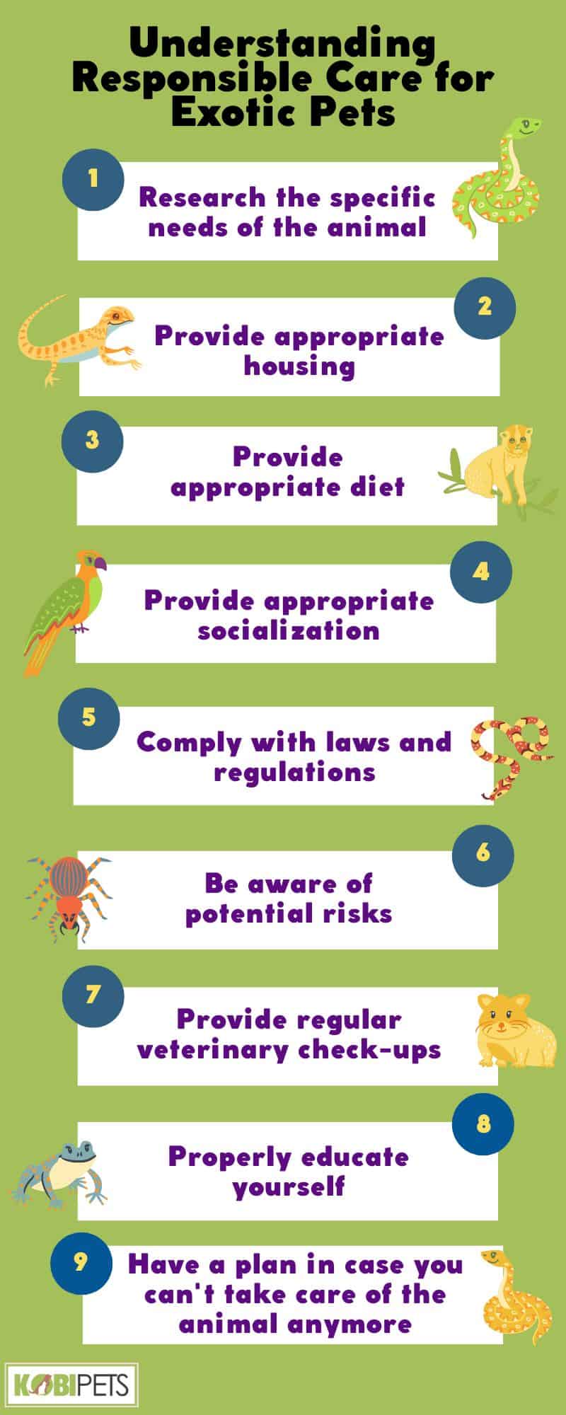 Understanding Responsible Care for Exotic Pets