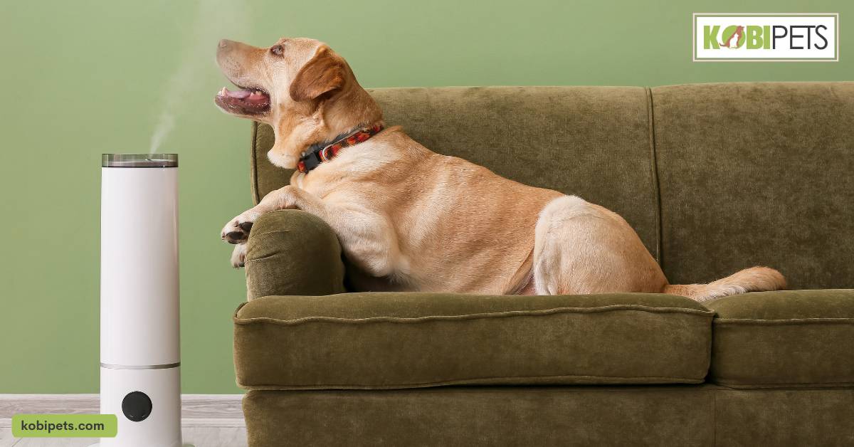 Use air purifiers to help reduce pet odors and remove dust particles from the air.