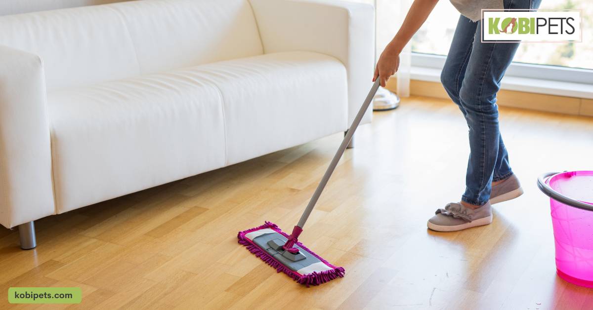 Wash your floors at least once a week with a pet-safe cleaner.