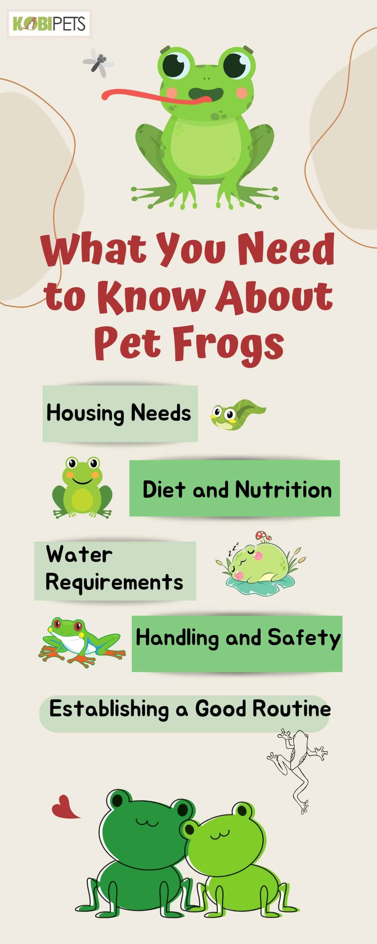 What You Need to Know About Pet Frogs