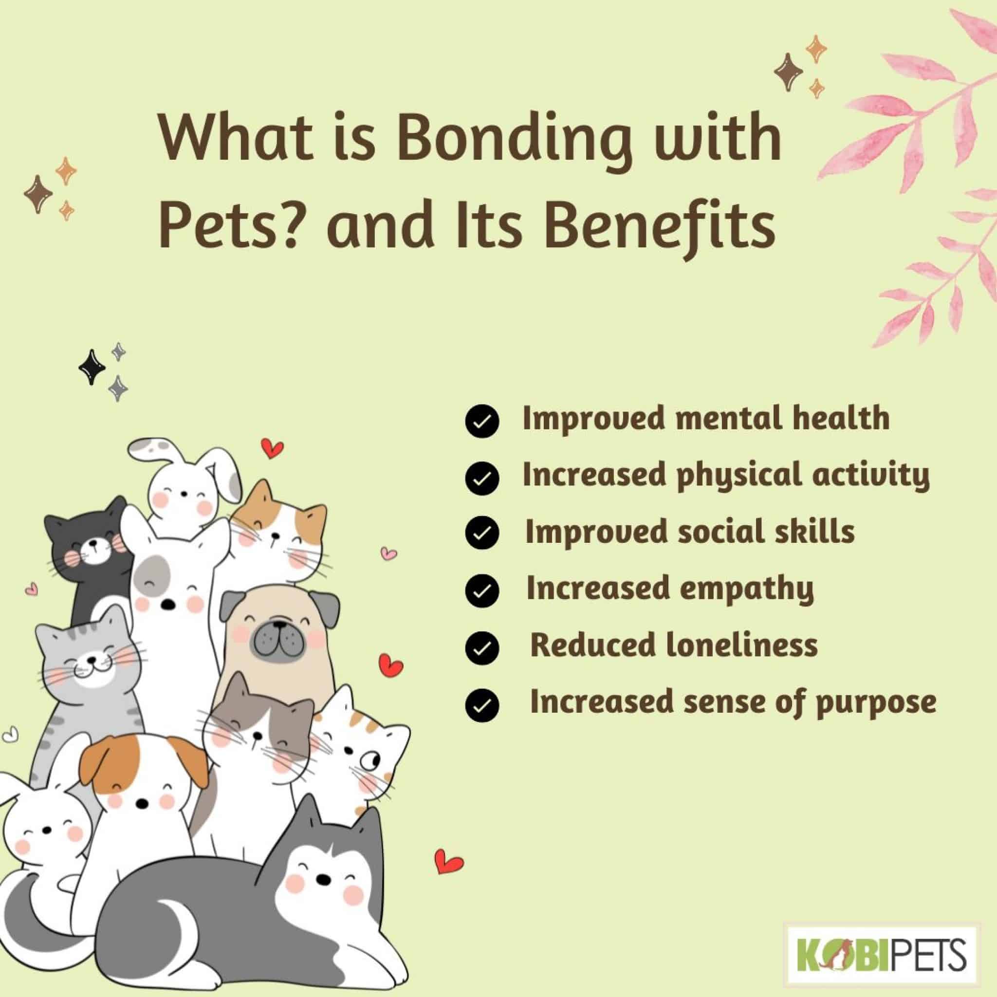 Creating Your Own Unique Bond With Each Of Your Pets Kobi Pets
