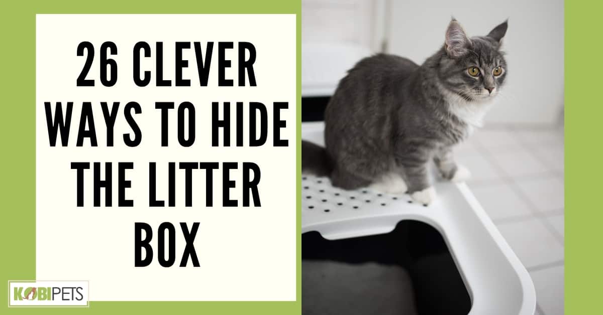 26 Clever Ways to Hide the Litter Box