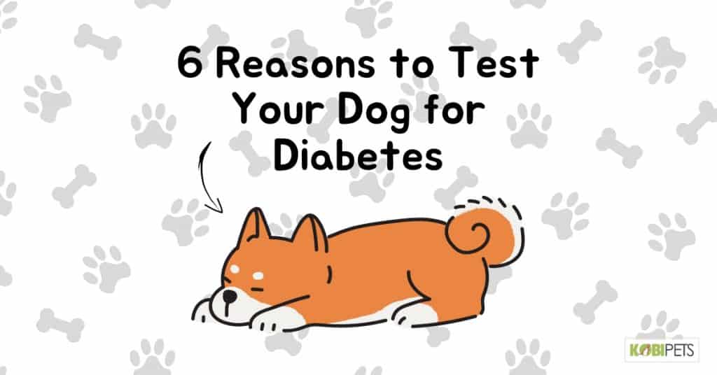 6 Reasons to Test Your Dog for Diabetes Kobi Pets