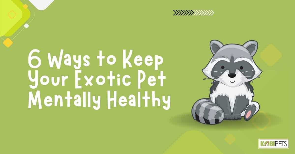 6 Ways to Keep Your Exotic Pet Mentally Healthy