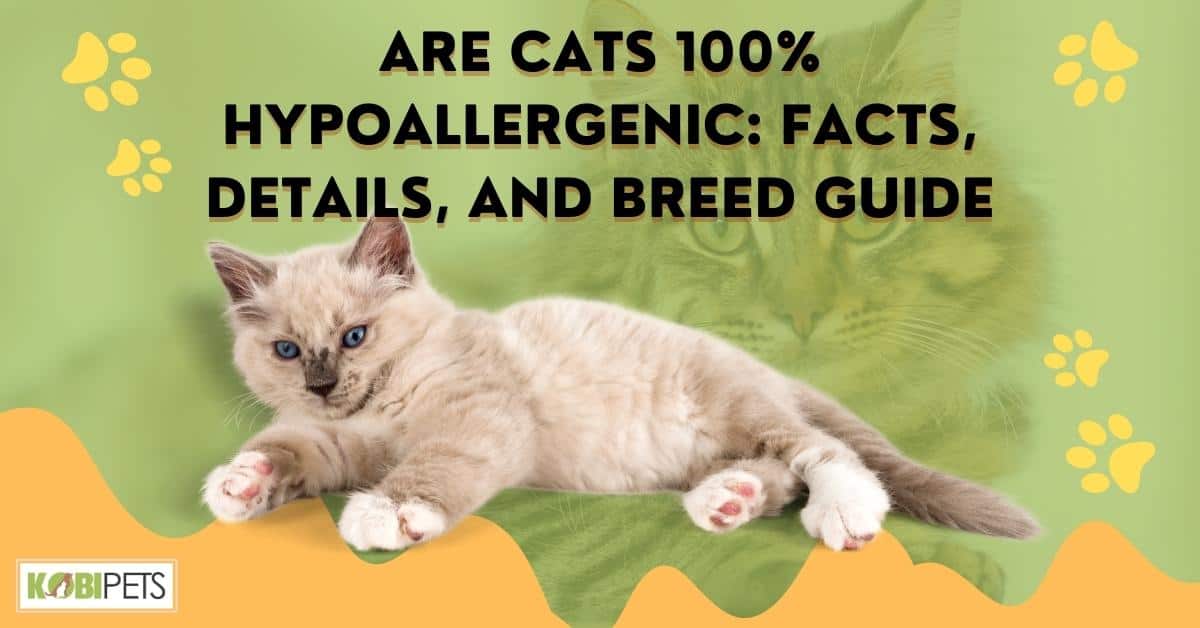 Are Cats 100% Hypoallergenic Facts, Details, and Breed Guide