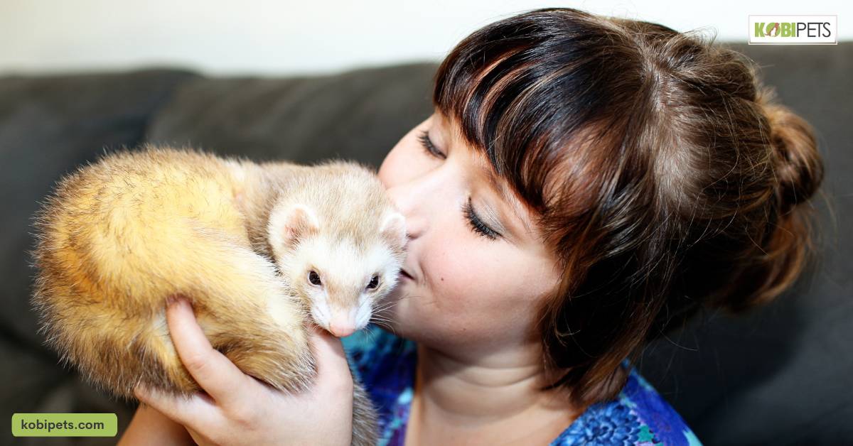 Bonding with your ferret