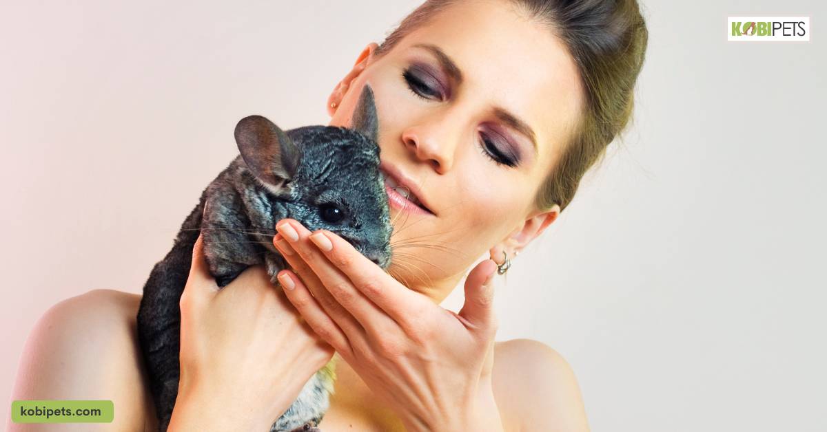 Building a bond with your Chinchilla