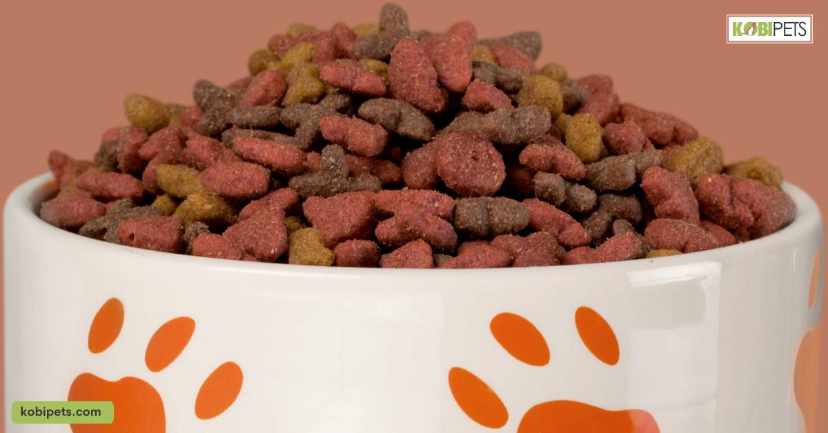 Can Cats Eat Dog Food