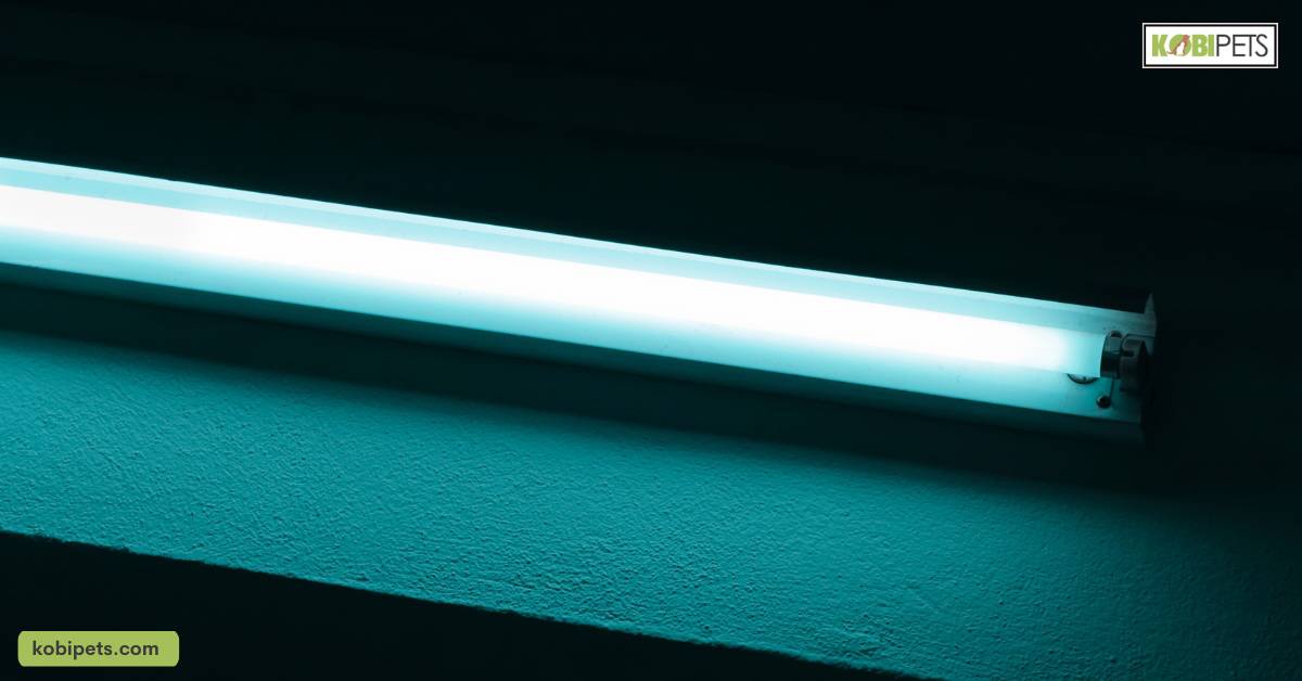 Choosing the Right Uv Light Source (Bulbs, Led Lights, Fluorescent Tubes)