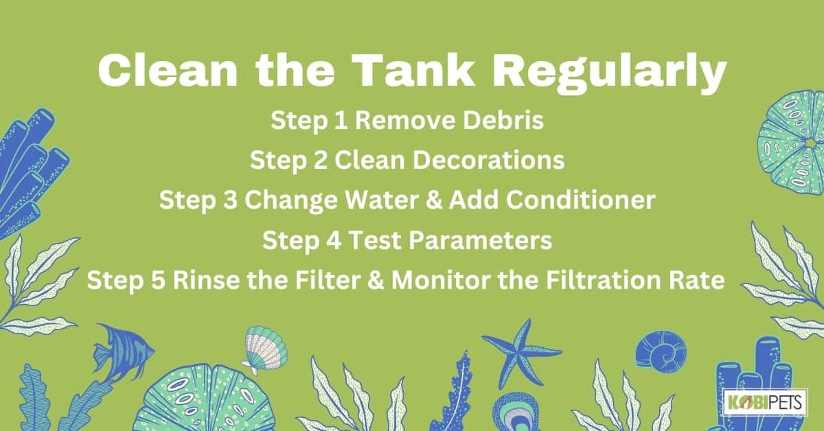 Clean the Tank Regularly