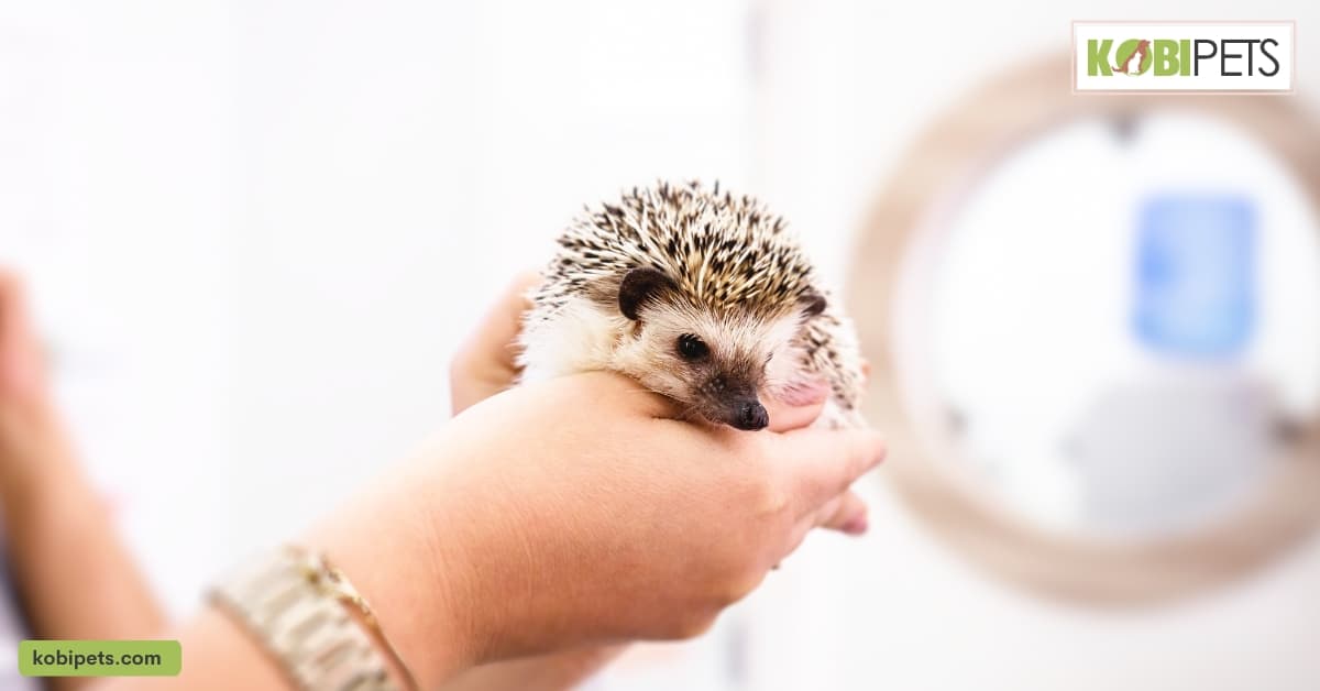 Common Emergencies in Exotic Pets