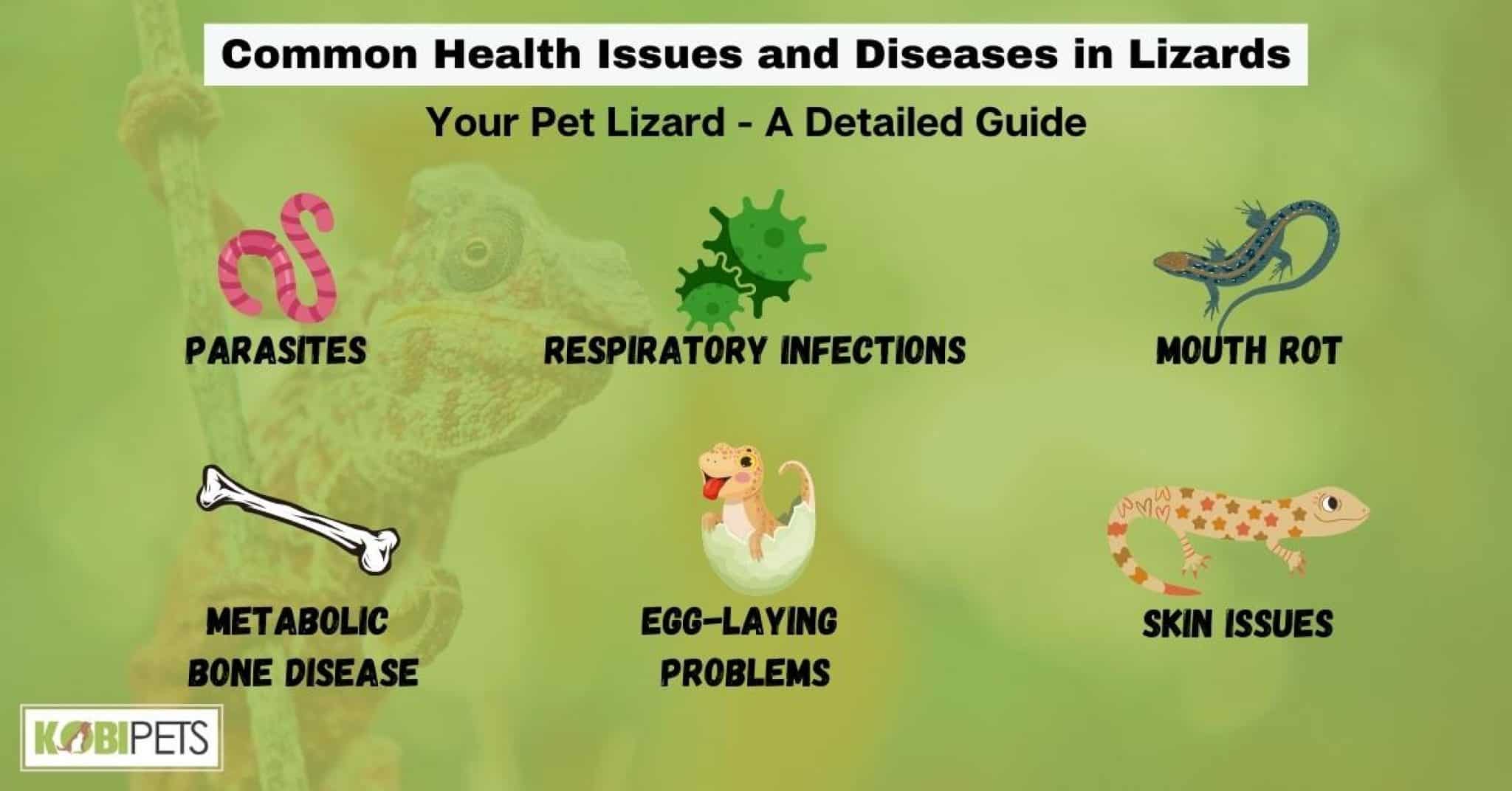 Your Pet Lizard A Detailed Guide Kobi Pets