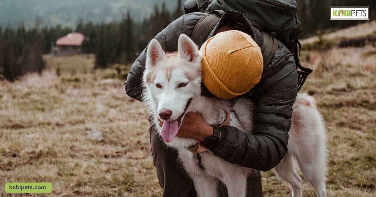 Companionship and Friendship