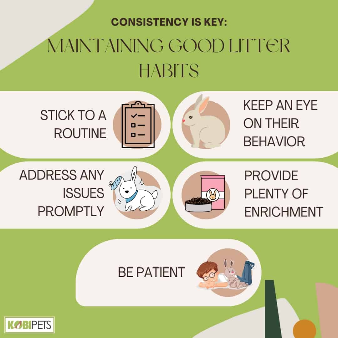 Consistency is Key Maintaining Good Litter Habits