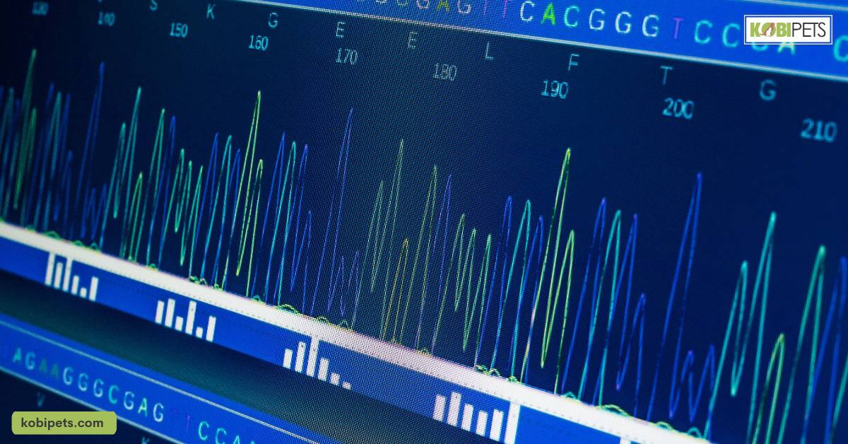 DNA Analysis