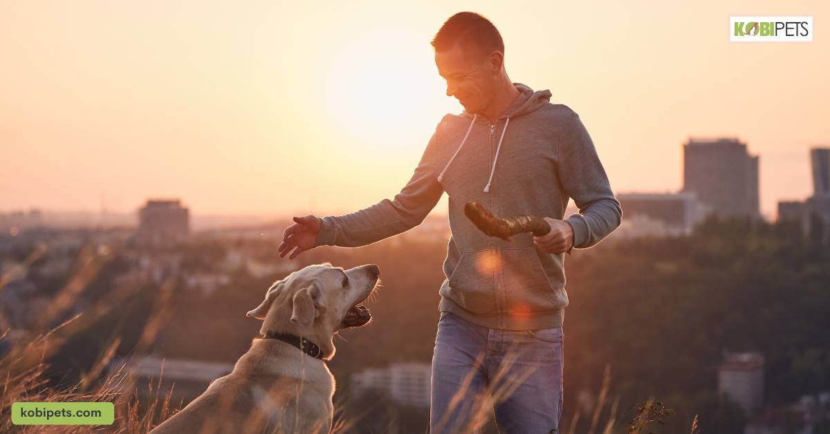 Healthier Lifestyle for Pet Owners