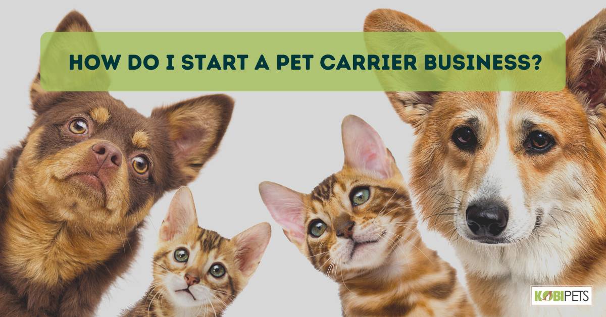 How Do I Start a Pet Carrier Business