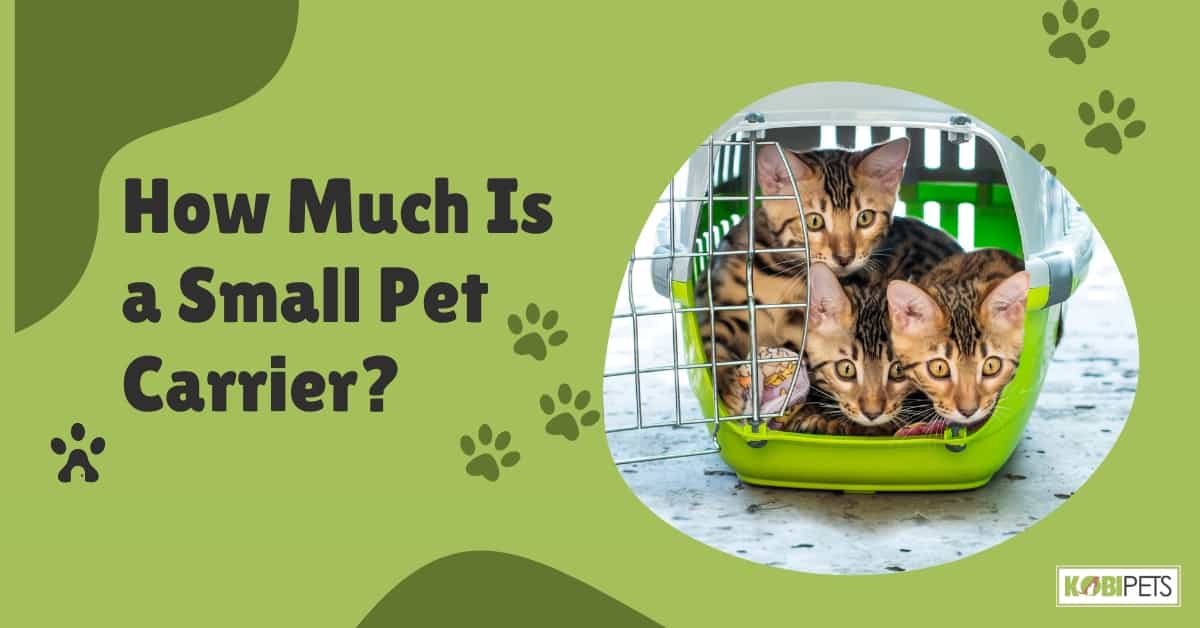 How Much Is a Small Pet Carrier